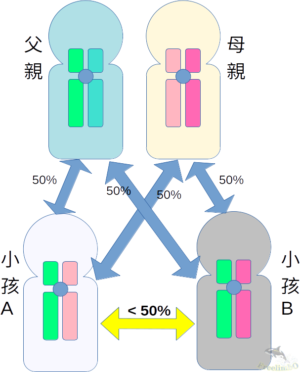 human_siblings